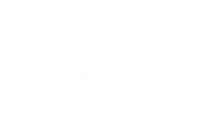 Asset-3.webp