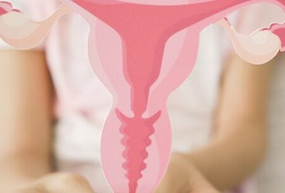 big-Endocrinologia-Feminina