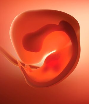 big-Módulo-EMBRIOLOGIA