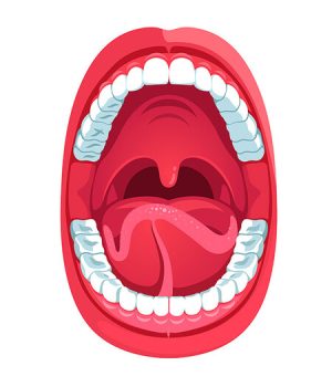 big-Módulo-FARINGOESTOMATOLOGIA