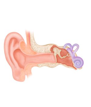 big-Módulo-OTOLOGIA