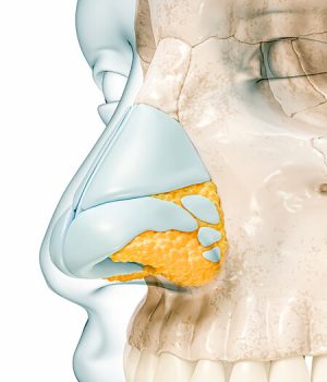 big-módulo-ESTÉTICA-FACIAL