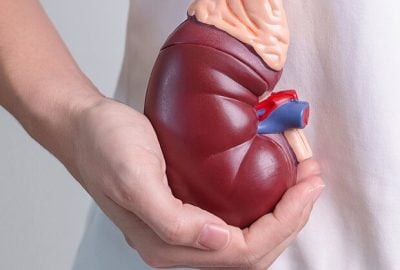 large-Adrenal